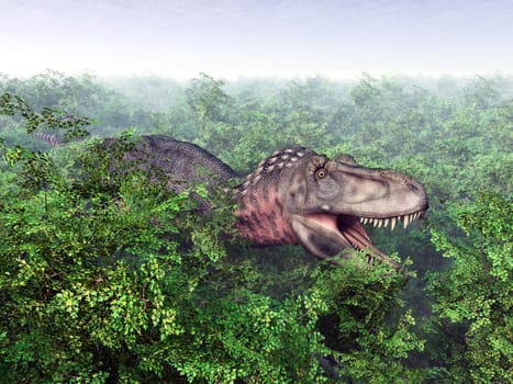 Computer-generated 3D illustration with the dinosaur Tarbosaurus in a forest