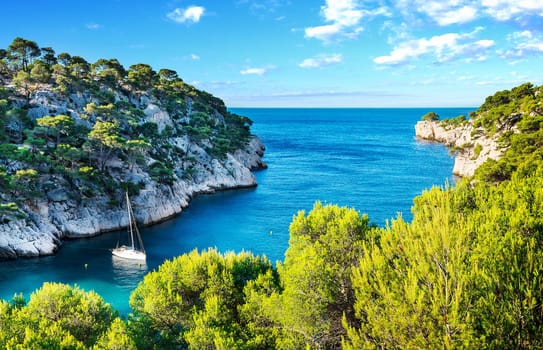 Calanques of Port Pin in Cassis in France near Marseille