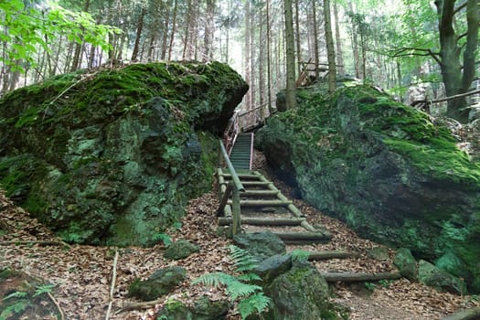 A wooden staircase in the forest near Tabarz