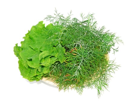 Plate with lettuce and dill isolated