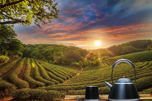 Cup of tea and mint with nice background for adv or others purpose use