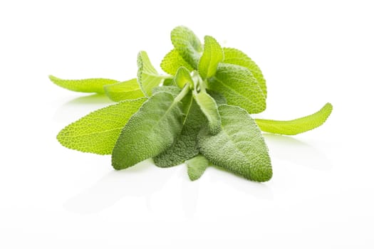 Sage