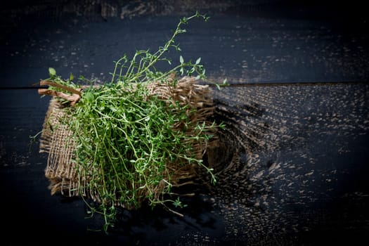 Thyme
