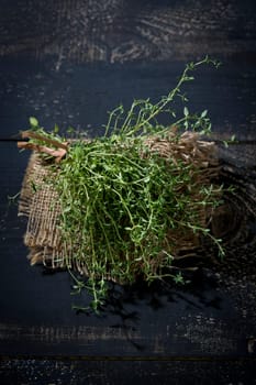 Thyme