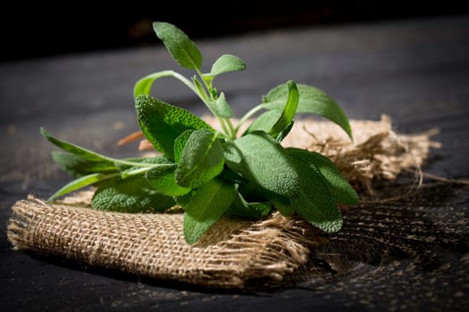 Sage