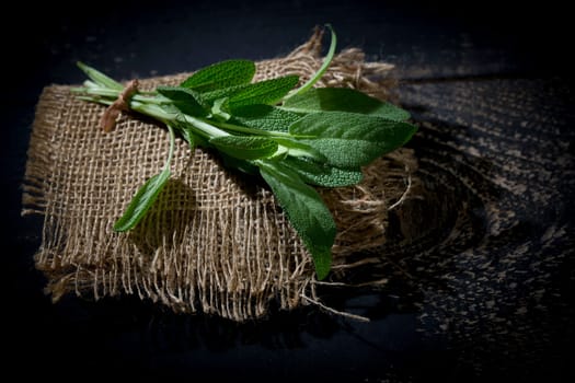 Sage