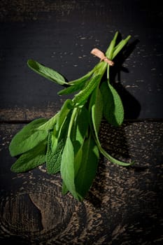 Sage