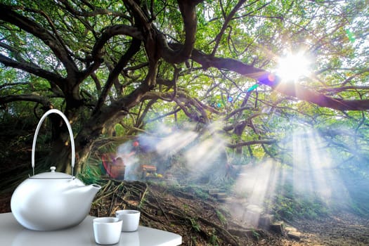 Teapot with nice background for adv or others purpose use