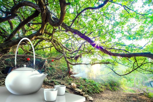 Teapot with nice background for adv or others purpose use