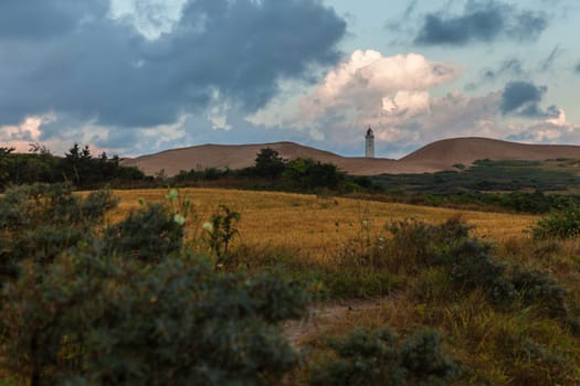 Rubjerg Knude