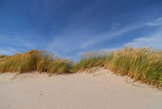 Dunes in Denmark