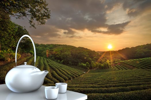 Teapot with nice background for adv or others purpose use