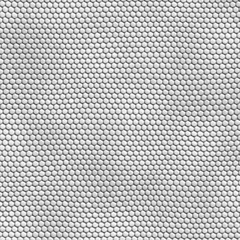 seamless white snakeskin texture