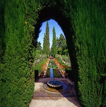 Gardens Generalife in Alhambra, Spain