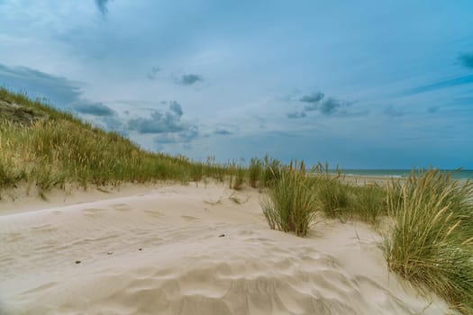 Dunes in Denmark