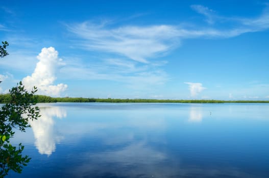 Ding Darling Wildlife Refuge in Florida.