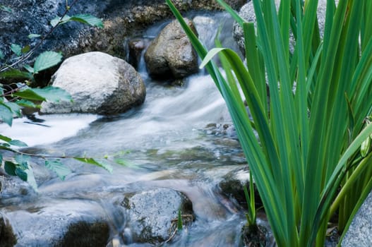 small waterfall with large stei blocks and plants in the foreground