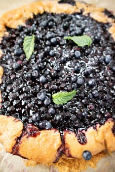 Photographic documentation of a rustic cake made with wild blueberries 