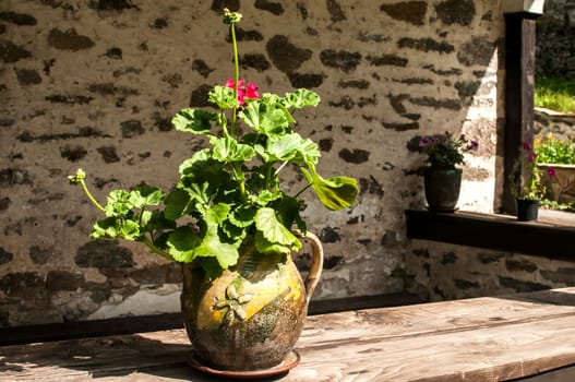 Ceramic flowerpot with geraniums in front of stone church shelter