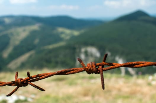 Segment of rusty barbed wire on natural background
