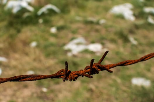 Segment of rusty barbed wire on natural background