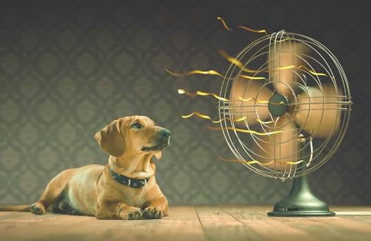 The dog is cooling down with the fan while watching the yellow ribbons in motion. Depth of field in eyes line and center of the fan.
