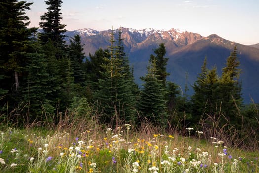 The sun has just hit the ridge on this beautiful mountain morning