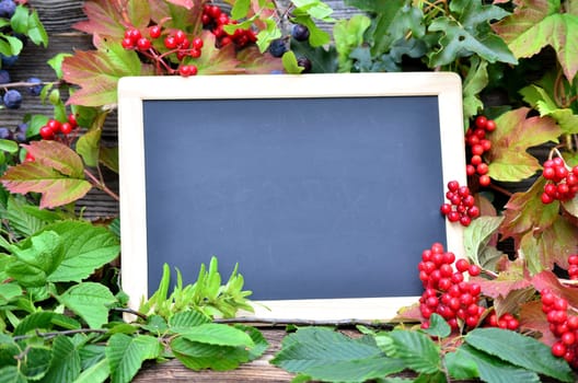 Chalkboard wood background colorful autumn foliage berries