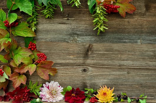 Wood background colorful autumn foliage berries