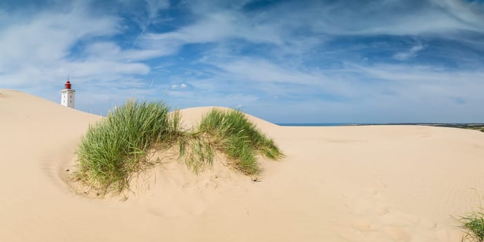 Rubjerg Knude