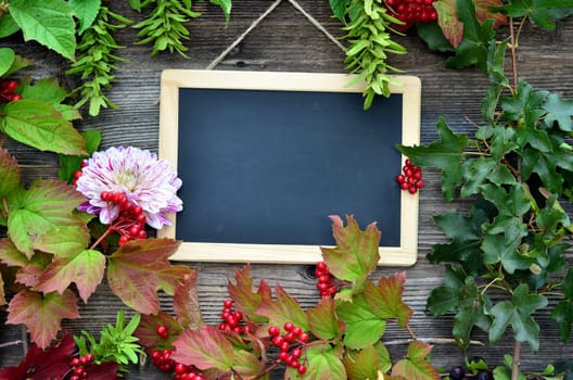 Chalkboard wood background colorful autumn foliage berries