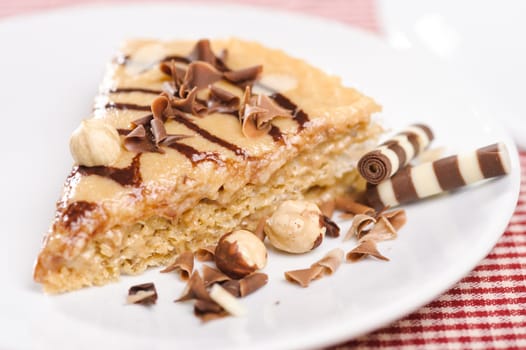 Piece of cake with chokolate on white plate