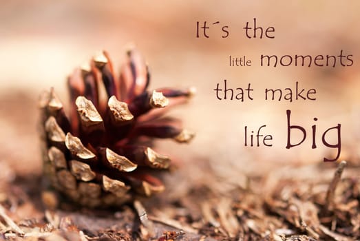 Brown Autumn Background with a Fir Cone and the Quote Its the little Moments that make Life Big