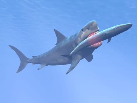 Prehistoric underwater scene showing megalodon shark eating blue whale - 3D render