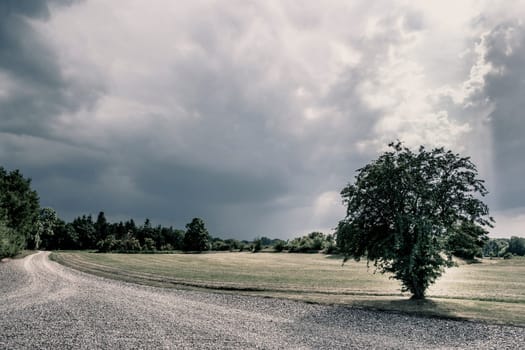 Green fields and cloudy weather