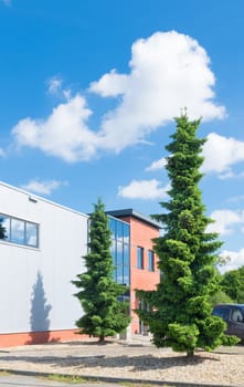 exterior of a modern office building with two large conifers in front