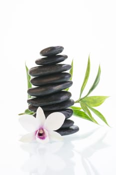 White Dendrobium orchid with black stones and green leaves