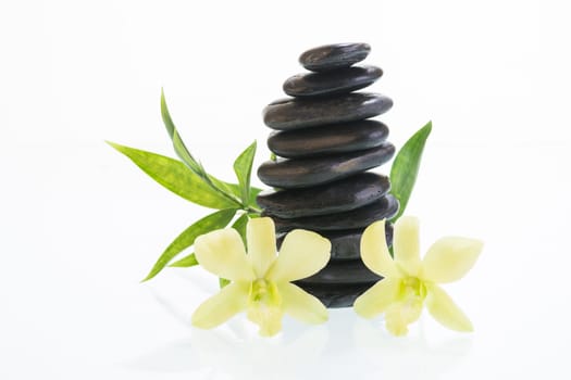 Green orchids with black zen stones and green leaves close-up