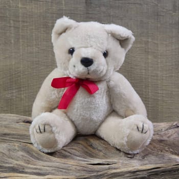 Old shabby chic teddy-bear is sitting on rustic wood - object for christmas decoration