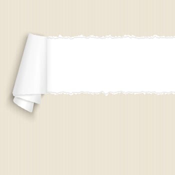 vector of ripped open paper brown cardboard