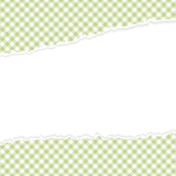 vector of ripped open paper checkered green