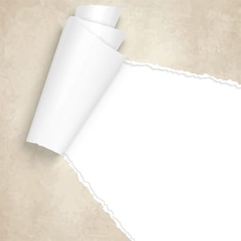 vector of ripped openold vintage paper