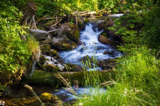 Beautiful waterfall landscape (Ukrainian Carpathian) in green forest