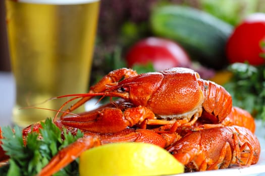 Heap of boiled crafish, glass of beer and garnish (colseup, selective focus)