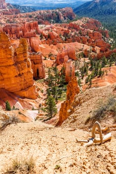 spectacular Hoodoo rock spires of Bryce Canyon, Utah, USA