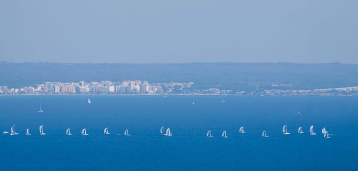 Sailing boat yacht or sailboat group regatta race on sea or ocean water. Panoramic view.