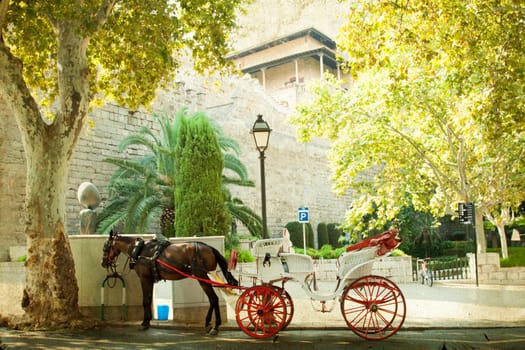 Tourist chariot in the old city of Palma de Mallorca