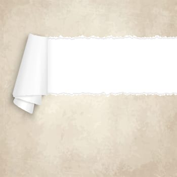 vector of ripped openold vintage paper
