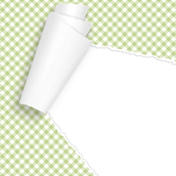 vector of ripped open paper checkered green