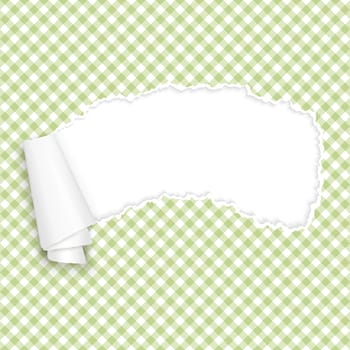 vector of ripped open paper checkered green